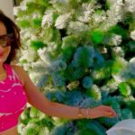 Ameesha Patel Instagram - Wishing everyone a Merry Xmas ——- 🧑‍🎄🧑‍🎄🧑‍🎄🧑‍🎄🧑‍🎄🧑‍🎄🧑‍🎄🧑‍🎄🧑‍🎄
