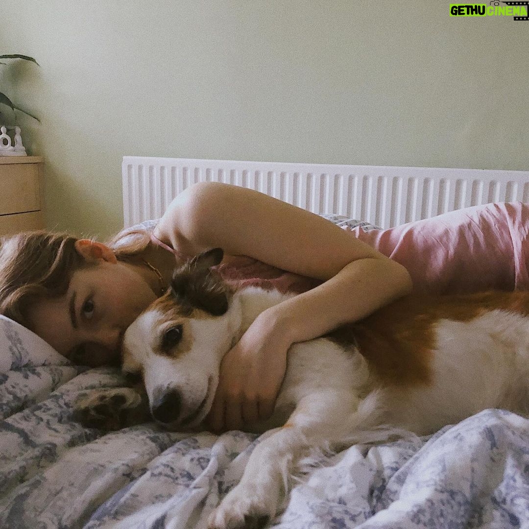 Amelia Gething Instagram - I had to say goodbye to my best friend recently. He was the happiest, most loving boy and I couldn’t have wished for a better little buddy. I will keep you in my heart forever and always, Monty. I love you so so much. Rest in peace little guy 🤍