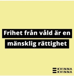 Amie Bramme Sey Instagram - Unga flickor som kippar efter luft, som kollapsar på skolgården. Flickor som ligger orörliga i sjukhussängar. På Instagram ser jag bild efter bild från Iran. I tidningen läser jag om en våg av misstänkta giftattacker mot flickskolor. Det första kända fallet rapporterades på en skola den 30 november förra året. Sedan dess har ytterligare hundratals skolor påverkats. Under senaste veckan har antalet fall skjutit i höjden. 

Internationell kvinnodagen. En dag för att uppmärksamma kampen för kvinnors rätt till sina egna liv, världen över. Det börjar där. Hos flickorna. Våra yngsta och mest utsatta offer. Snippdebatten i Sverige. Abortdebatten i USA. Sexuellt våld som vapen i Tigray där kriget fortsätter rasa fram i total medieskugga. Femicid. Ordet betyder att en person blir mördad för att hon är kvinna. Hur många kvinnor kommer falla offer i år? 
Och flickorna som kippar efter luft i Iran. 

Allt detta pågår parallellt världen över. Kvinnohatet djupt cementerat i våra rättssystem och i våra kulturer. I alla länder, hur olika dessa platser än må vara, återfinns alltid denna struktur. Kvinnohatet kommer i olika uttrycksformer men växer och frodas ur samma jord. 

Det är upp till dig och mig att fortsätta kräva förändring. Vi som rör oss fritt (nåja). Som har tid och råd. Det är upp till oss att förstå systemet och hur vi förändrar det. Det handlar om att skydda flickor från mäns händer på deras kroppar, uppmärksamma och ta ställning mot krig där män systematiskt våldtar kvinnor och barn som krigsföring. Aldrig sluta prata om våldet som konstant pågår i våra svenska hem, det som män utsätter kvinnor och deras barn för. 

Internationella kvinnodagen handlar om precis det här. Skolflickor som kollapsar på skolgården, som ligger i sjukhussängar med andningssvårigheter. Internationella kvinnodagen handlar om att att blåsa tillbaka luften i de unga flickornas lungor.