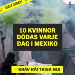 Amie Bramme Sey Instagram – Unga flickor som kippar efter luft, som kollapsar på skolgården. Flickor som ligger orörliga i sjukhussängar. På Instagram ser jag bild efter bild från Iran. I tidningen läser jag om en våg av misstänkta giftattacker mot flickskolor. Det första kända fallet rapporterades på en skola den 30 november förra året. Sedan dess har ytterligare hundratals skolor påverkats. Under senaste veckan har antalet fall skjutit i höjden. 

Internationell kvinnodagen. En dag för att uppmärksamma kampen för kvinnors rätt till sina egna liv, världen över. Det börjar där. Hos flickorna. Våra yngsta och mest utsatta offer. Snippdebatten i Sverige. Abortdebatten i USA. Sexuellt våld som vapen i Tigray där kriget fortsätter rasa fram i total medieskugga. Femicid. Ordet betyder att en person blir mördad för att hon är kvinna. Hur många kvinnor kommer falla offer i år? 
Och flickorna som kippar efter luft i Iran. 

Allt detta pågår parallellt världen över. Kvinnohatet djupt cementerat i våra rättssystem och i våra kulturer. I alla länder, hur olika dessa platser än må vara, återfinns alltid denna struktur. Kvinnohatet kommer i olika uttrycksformer men växer och frodas ur samma jord. 

Det är upp till dig och mig att fortsätta kräva förändring. Vi som rör oss fritt (nåja). Som har tid och råd. Det är upp till oss att förstå systemet och hur vi förändrar det. Det handlar om att skydda flickor från mäns händer på deras kroppar, uppmärksamma och ta ställning mot krig där män systematiskt våldtar kvinnor och barn som krigsföring. Aldrig sluta prata om våldet som konstant pågår i våra svenska hem, det som män utsätter kvinnor och deras barn för. 

Internationella kvinnodagen handlar om precis det här. Skolflickor som kollapsar på skolgården, som ligger i sjukhussängar med andningssvårigheter. Internationella kvinnodagen handlar om att att blåsa tillbaka luften i de unga flickornas lungor.