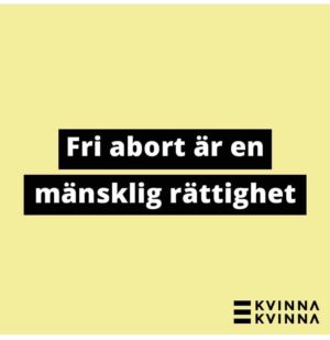 Amie Bramme Sey Instagram - Unga flickor som kippar efter luft, som kollapsar på skolgården. Flickor som ligger orörliga i sjukhussängar. På Instagram ser jag bild efter bild från Iran. I tidningen läser jag om en våg av misstänkta giftattacker mot flickskolor. Det första kända fallet rapporterades på en skola den 30 november förra året. Sedan dess har ytterligare hundratals skolor påverkats. Under senaste veckan har antalet fall skjutit i höjden. 

Internationell kvinnodagen. En dag för att uppmärksamma kampen för kvinnors rätt till sina egna liv, världen över. Det börjar där. Hos flickorna. Våra yngsta och mest utsatta offer. Snippdebatten i Sverige. Abortdebatten i USA. Sexuellt våld som vapen i Tigray där kriget fortsätter rasa fram i total medieskugga. Femicid. Ordet betyder att en person blir mördad för att hon är kvinna. Hur många kvinnor kommer falla offer i år? 
Och flickorna som kippar efter luft i Iran. 

Allt detta pågår parallellt världen över. Kvinnohatet djupt cementerat i våra rättssystem och i våra kulturer. I alla länder, hur olika dessa platser än må vara, återfinns alltid denna struktur. Kvinnohatet kommer i olika uttrycksformer men växer och frodas ur samma jord. 

Det är upp till dig och mig att fortsätta kräva förändring. Vi som rör oss fritt (nåja). Som har tid och råd. Det är upp till oss att förstå systemet och hur vi förändrar det. Det handlar om att skydda flickor från mäns händer på deras kroppar, uppmärksamma och ta ställning mot krig där män systematiskt våldtar kvinnor och barn som krigsföring. Aldrig sluta prata om våldet som konstant pågår i våra svenska hem, det som män utsätter kvinnor och deras barn för. 

Internationella kvinnodagen handlar om precis det här. Skolflickor som kollapsar på skolgården, som ligger i sjukhussängar med andningssvårigheter. Internationella kvinnodagen handlar om att att blåsa tillbaka luften i de unga flickornas lungor.