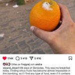 Amie Bramme Sey Instagram - Är det natt eller dag mamma? Din fråga imorse när du vaknade innan solen gått upp Jag vaknade ur en dröm om vita förslutna påsar. Att jag numera kan titta på videos när föräldrar pussar sina barn på pannan Inte godnatt Men farväl för alltid Är det verklighet eller drömmer jag? Flickans fråga till en farbror. Hon befinner sig i chock efter bombningarna. Helt täckt i grå pudrig aska från världen som sprängts runt om. Jag vill inte att mitt barn går utan vantar en enda dag. Mörkt att det är ska vara svårt att fördöma Israels krig mot Gaza. Att påstå att den som kräver permanent eldupphör sympatiserar med terrorister. Att bevittna små barn som kämpar för sina liv. Förlorat allt och alla. WCNSF = Wounded Child No Surviving Family. Ensam på jorden när generationer runt om blir utraderade. Att titta på barnen och sen titta bort. Att sitta tryggt i väst och oroa sig för att visa för mycket medmänsklighet, sympati, raseri. Att ha en "take". Människor skräms till tystnad. Jag förstår det, jag har också tänkt en och två tankar om vilka uppdrag jag skulle kunna förlora. Det har man inte råd med. Chefredaktörer, programledare och skådespelare har tvingas lämna sina uppdrag. Konstnärers utställningar sätts på paus. Vi pratar om det, hanterar parerar tänker. Och samtidigt letar dom kroppsdelar i rasmassorna. Listorna över dödsoffer förlängs. Dom svikna döda barnen blir fler och fler. Senaste videon där en pappa pussar sitt barn på pannan är en ny video. Inte samma som cirkulerat ett tag. Ännu en förälder och ett barn och en vit plastpåse. (Första bilden är från @senayberhe fotoutställning. Fotot på molnen har inget att göra med någon konflikt, jag tycker bara att det är en vacker bild av frihet. Posten med apelsinen är från en ung journalist som dagligen rapporterar direkt från Gaza @wizard_bisan1 .Kvinnan som pratar heter Dr. Africa Stewart, President @doctorswithoutborders )