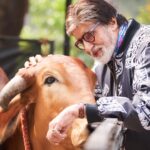 Amitabh Bachchan Instagram – गौ माता का प्रेम अपार ! धन्य हैं हम , उनका स्नेह पाकर । एक अद्भुत परिचय !
This is Rani , at friend Avinash farm .. so loving and full of affection for the visitor .. she listened when I spoke to her 🚩🚩🚩🙏🏻🙏🏻🙏🏻
