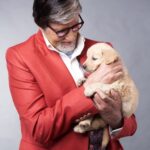 Amitabh Bachchan Instagram - हमारे एक छोटे से दोस्त ; काम के क्षण ॥ फिर ये बड़े होते हैं ॥ और एक दिन छोड़ के चले जाते हैं 🥲