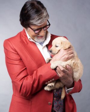 Amitabh Bachchan Instagram - हमारे एक छोटे से दोस्त ; काम के क्षण ॥ फिर ये बड़े होते हैं ॥ और एक दिन छोड़ के चले जाते हैं 🥲