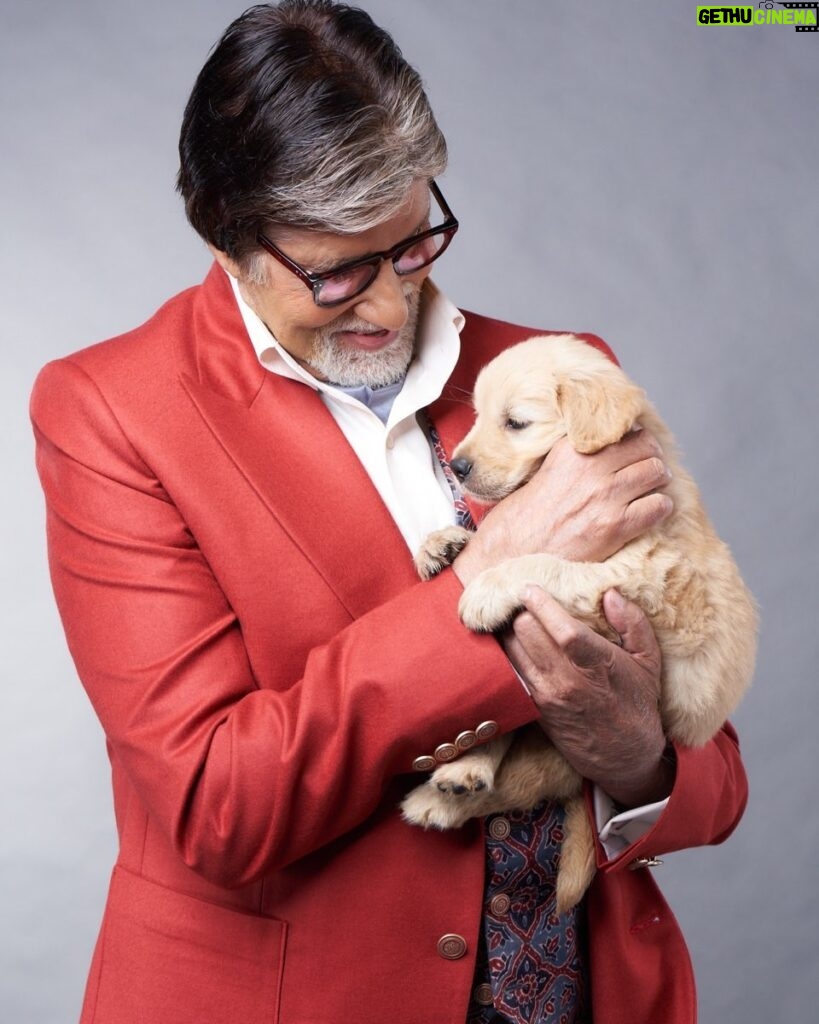 Amitabh Bachchan Instagram - हमारे एक छोटे से दोस्त ; काम के क्षण ॥ फिर ये बड़े होते हैं ॥ और एक दिन छोड़ के चले जाते हैं 🥲
