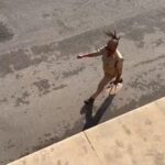 Amitabh Bachchan Instagram - … in the heat of the day .. he carries his own fan to cool off