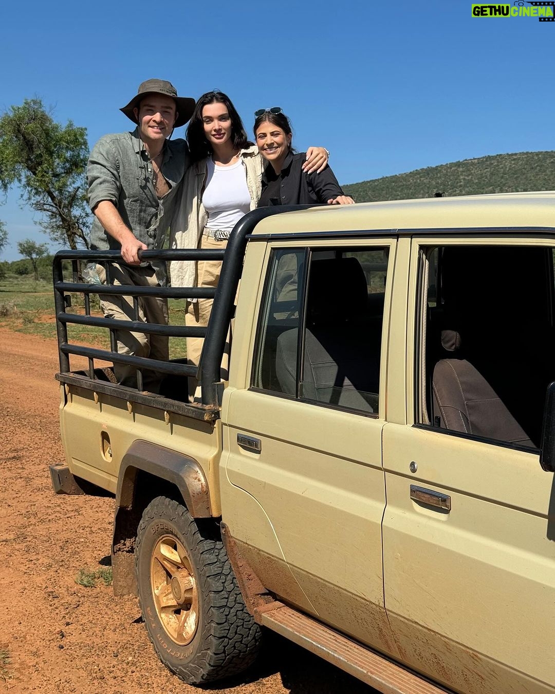 Amy Jackson Instagram - We met with the world renowned wildlife conservationist and vet, Dr Andre who had us be a part of his ‘Anti Poaching Rhino Operation.’ Rhino poaching in Africa is a grim reality driven by demand for their horns. Notching, a crucial conservation method, involves creating unique patterns on rhino ears for easy identification. This helps monitor and protect them, aiding in anti-poaching efforts and ensuring a sustainable future for these endangered giants. Dr Andre has also created a special Rhino tagging GPS device for real-time tracking, aiding conservationists in monitoring their movements, detecting potential threats, and understanding their behavior. This crucial data contributes to effective protection strategies. Alongside notching, the tags ultimately play a pivotal role in the battle against poaching and ensuring the survival of these magnificent creatures. Check out my highlights for all the behind the scenes action and more information on how you can support the protection of our wildlife. QWABI Private Game Reserve