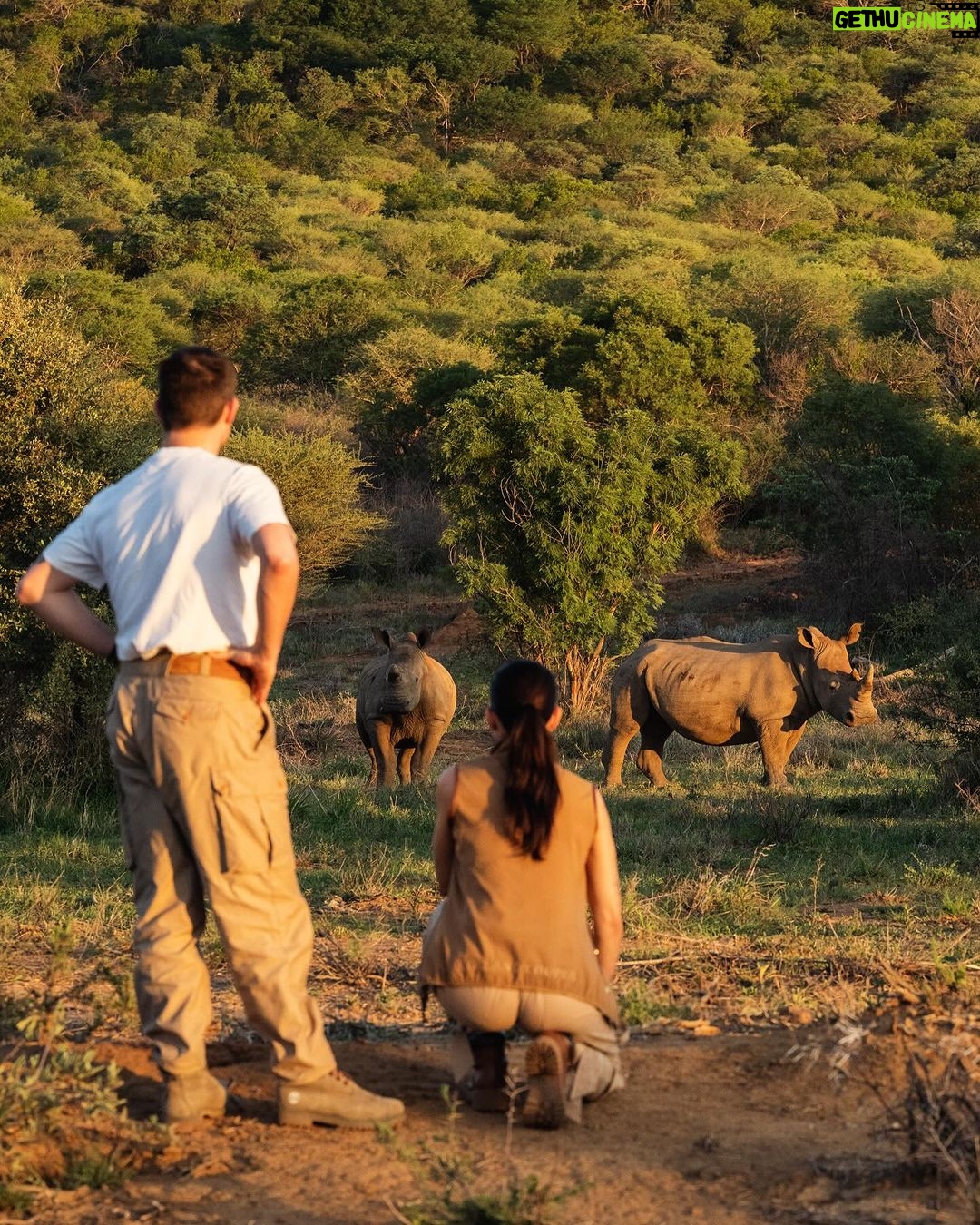 Amy Jackson Instagram - An actual dream come true ✨ @marlondutoit I’m so grateful for all of your guidance and patience { and for trusting me with your next level camera’s 😬} Photographing elephants in the wild with a wildlife photographer as incredible as Marlon has been on my vision board for three years and at the end of 2023, it finally happened. Can’t wait for a tonne more of adventures this year 🐘 QWABI Private Game Reserve
