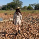 Amy Jackson Instagram - The birthplace of humankind ✨ Touched down in Africa - where the energy is pure and my heart is peaceful. The pictures and videos just don’t do @qwabiprivategamereserve justice but I’m for sure going to give it my best shot over the next few days… quite literally 😛 Sorry in advance @_damien.fourie.photography_ our mega tour guide who doesn’t get much further than a few yards before I’m asking him to stop the jeep again so I can whip out my camera. @marlondutoit you’re the best!!! QWABI Private Game Reserve