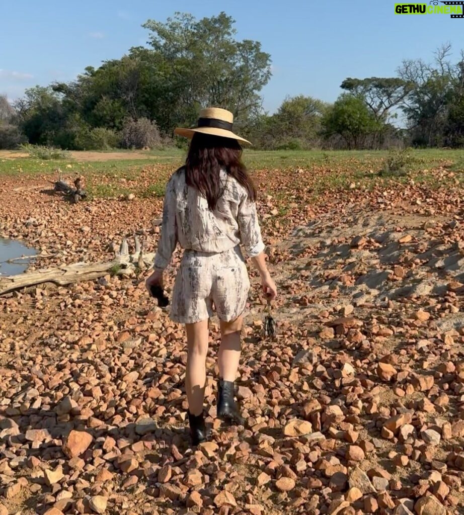 Amy Jackson Instagram - The birthplace of humankind ✨ Touched down in Africa - where the energy is pure and my heart is peaceful. The pictures and videos just don’t do @qwabiprivategamereserve justice but I’m for sure going to give it my best shot over the next few days… quite literally 😛 Sorry in advance @_damien.fourie.photography_ our mega tour guide who doesn’t get much further than a few yards before I’m asking him to stop the jeep again so I can whip out my camera. @marlondutoit you’re the best!!! QWABI Private Game Reserve