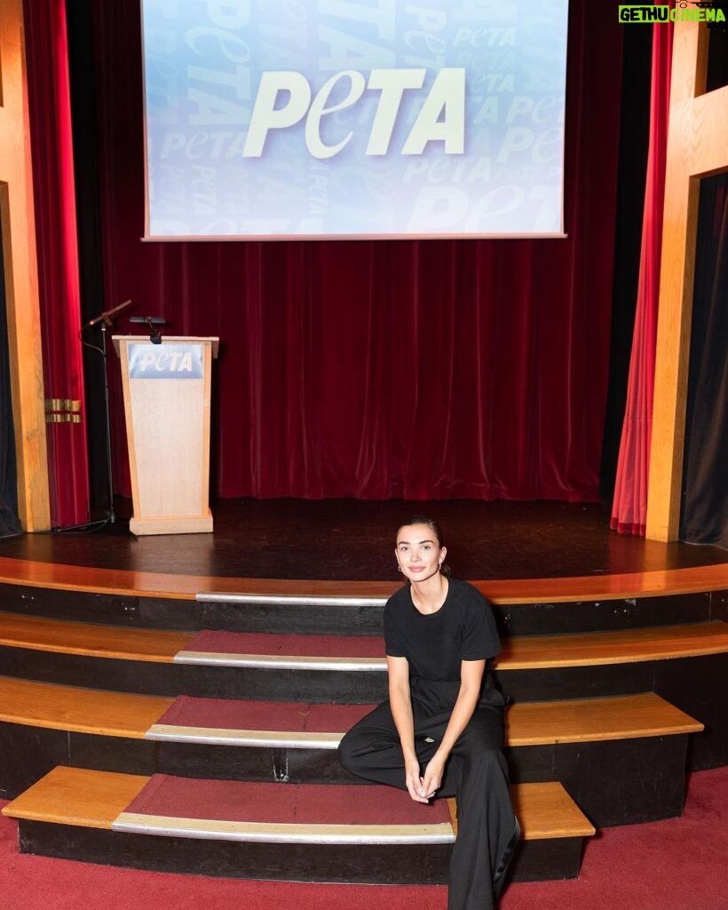 Amy Jackson Instagram - A wonderful weekend with @petauk , their wonderful President Ingrid Newkirk, the force to be reckoned with Poorva Joshipura and the whole PETA team. Thankyou for all that you do for animals across the globe 💚💪🏼 Thanks my fellow 🌱 @tobyshawphoto for the 📸 The Magic Circle