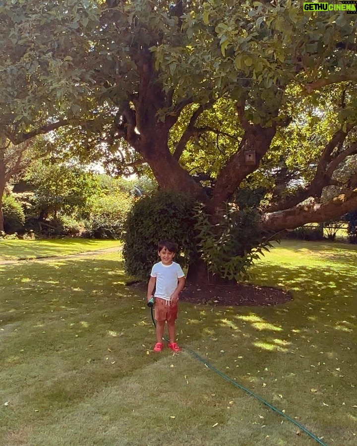 Amy Jackson Instagram - What this Summer is all about ✨ my boys, my furry boys, candy floss and @aloyoga bucket hats, waterfights and sink baths at Grandma’s house… and a whole lotta laughter ✨