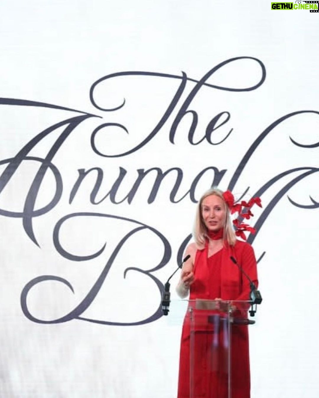 Amy Jackson Instagram - @theanimalball know how to throw a soirée! Marking the 20th anniversary of the incredible @elephantfamily , along with the launch of a new strategic partnership with Wildlife Conservation Trust in India… the Animal Ball was truly a night of joy, positivity and not to mention powerful fundraising! Over two million pounds was raised on the night, all of which goes to enabling the @elephantfamily support some of the best conservationists in Asia; addressing critical challenges faced by people and wildlife living in some of the highest human-wildlife density landscapes in the world. Lady in red, @mrsganesh100 you were outstanding - as always! Listening to you talk on stage about the life changing work the Elephant Family has orchestrated over the past two decades is truly inspiring. You champion the voices of not only the majestic Elly’s but the people who are learning and loving to live alongside Asia’s wildlife - the @coexistence.story campaign showcases that beautifully. To Richard, @al_dlp , @ayeshalalita , the Lucy’s and the entire Elephant Family team… Thankyou for such a spectacular evening in addition to all the day in, day out dedication the charity requires - you guys are the best. Special mention to @richardquinn for THE dress of dreams along with …. for our beautiful Philip Treacy peacock masks (which I would’ve happily worn forever 🦚) Just, wow 🐘💚 Lancaster House