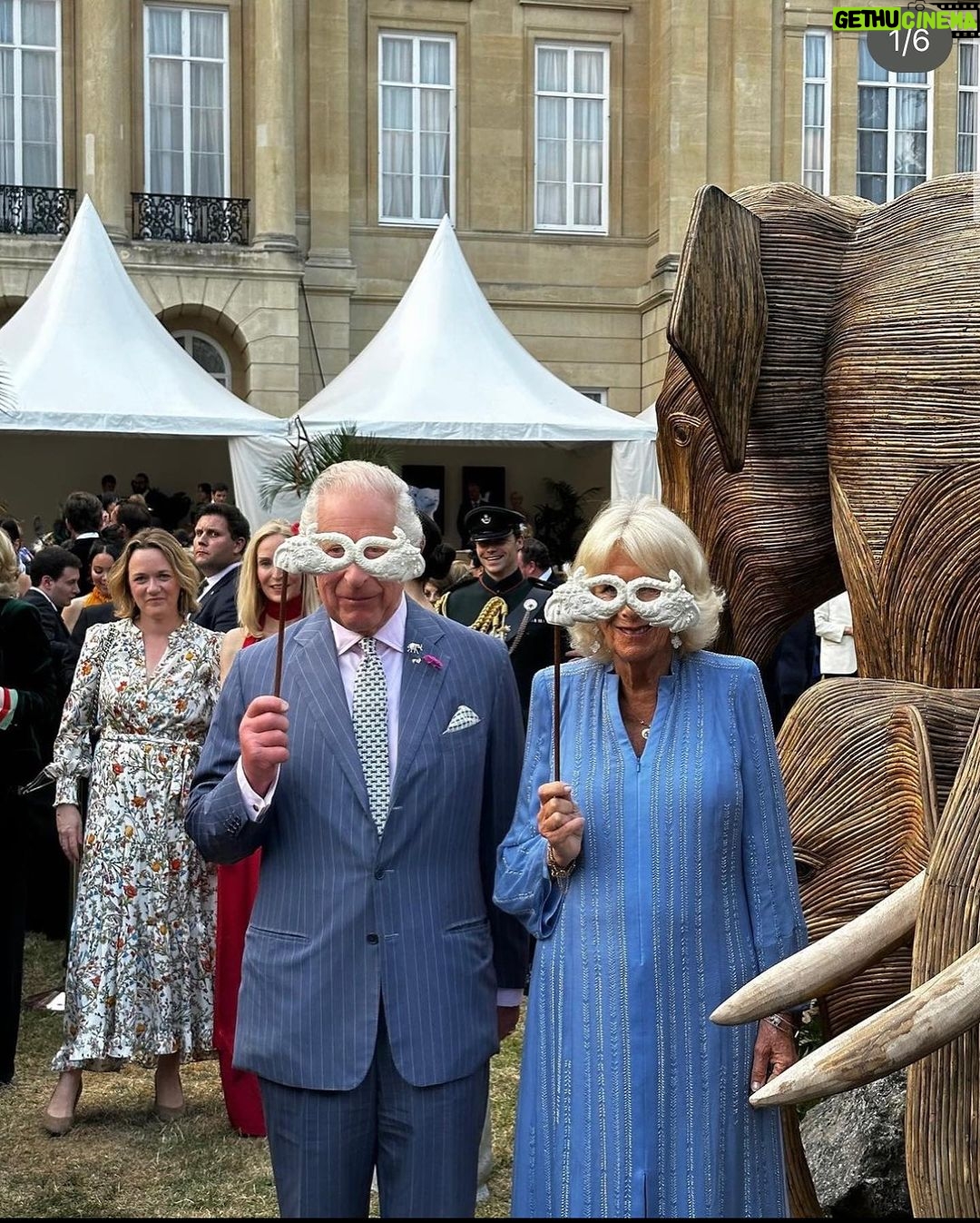 Amy Jackson Instagram - @theanimalball know how to throw a soirée! Marking the 20th anniversary of the incredible @elephantfamily , along with the launch of a new strategic partnership with Wildlife Conservation Trust in India… the Animal Ball was truly a night of joy, positivity and not to mention powerful fundraising! Over two million pounds was raised on the night, all of which goes to enabling the @elephantfamily support some of the best conservationists in Asia; addressing critical challenges faced by people and wildlife living in some of the highest human-wildlife density landscapes in the world. Lady in red, @mrsganesh100 you were outstanding - as always! Listening to you talk on stage about the life changing work the Elephant Family has orchestrated over the past two decades is truly inspiring. You champion the voices of not only the majestic Elly’s but the people who are learning and loving to live alongside Asia’s wildlife - the @coexistence.story campaign showcases that beautifully. To Richard, @al_dlp , @ayeshalalita , the Lucy’s and the entire Elephant Family team… Thankyou for such a spectacular evening in addition to all the day in, day out dedication the charity requires - you guys are the best. Special mention to @richardquinn for THE dress of dreams along with …. for our beautiful Philip Treacy peacock masks (which I would’ve happily worn forever 🦚) Just, wow 🐘💚 Lancaster House