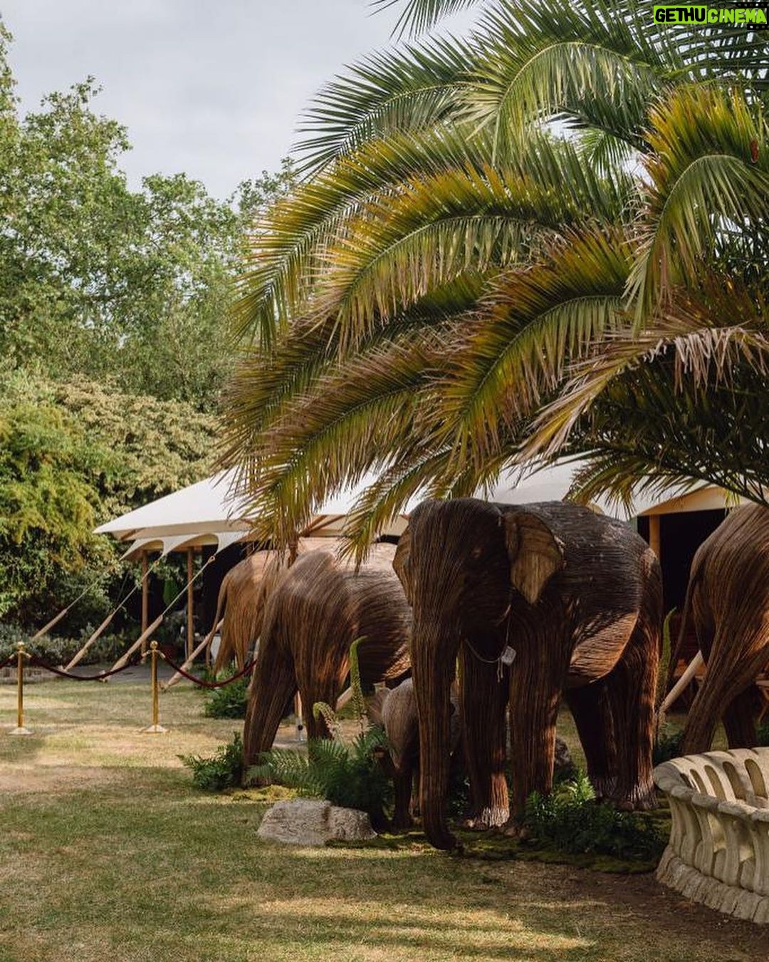 Amy Jackson Instagram - @theanimalball know how to throw a soirée! Marking the 20th anniversary of the incredible @elephantfamily , along with the launch of a new strategic partnership with Wildlife Conservation Trust in India… the Animal Ball was truly a night of joy, positivity and not to mention powerful fundraising! Over two million pounds was raised on the night, all of which goes to enabling the @elephantfamily support some of the best conservationists in Asia; addressing critical challenges faced by people and wildlife living in some of the highest human-wildlife density landscapes in the world. Lady in red, @mrsganesh100 you were outstanding - as always! Listening to you talk on stage about the life changing work the Elephant Family has orchestrated over the past two decades is truly inspiring. You champion the voices of not only the majestic Elly’s but the people who are learning and loving to live alongside Asia’s wildlife - the @coexistence.story campaign showcases that beautifully. To Richard, @al_dlp , @ayeshalalita , the Lucy’s and the entire Elephant Family team… Thankyou for such a spectacular evening in addition to all the day in, day out dedication the charity requires - you guys are the best. Special mention to @richardquinn for THE dress of dreams along with …. for our beautiful Philip Treacy peacock masks (which I would’ve happily worn forever 🦚) Just, wow 🐘💚 Lancaster House