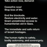 Amy Jackson Instagram – Take action now, via @feminist ❗️

Demand: Ceasefire now! Stop the loss of life. #CeaseFireNOW

End the blockade. Grant unrestricted access to humanitarian aid in Gaza.
The immediate and safe return of Israeli hostages.

The human right to safety, bodily autonomy, and sovereignty.

‼️ How to take action ‼️

1️⃣ Educate yourself and others; learn from history, read, watch documentaries and have empathetic conversations with your community.

2️⃣ Denounce antisemitism and islamophobia → Learn more @solutionsnotsides 

3️⃣ Join a protest, rally, march or vigil near you.

4️⃣ Sign a petition. (Visit the link in @feminist bio) 

5️⃣ Contact your representatives
US→ Call 202 224 3121
https://www.commoncause.org/find-your-representative 
UK→ Email your MPmembers.parliament.uk/members/commons 
Canada→ https://oncanadaproject.ca/findyourrep

6️⃣ Check in on your friends who may be affected

✍️  Use this template for contacting your representative: 🗣

My name is [Your Name]. I am a constituent of {Representative’s Name}. I am calling to ask that the Representative add their name to the Ceasefire Now resolution led by Representatives Cori Bush and Rashida Tlaib, regarding the unfolding crisis in Gaza. It is urgent that the Representative demand [Insert your demands.] I call on you to protect and defend the human right to safety, bodily autonomy, and sovereignty.

🖊 @feminist note:
We exist to amplify the voices of our community and want to amplify resources informed by our community, organized by those directly impacted. If you would like to contribute resources please send them to us using the Google Form linked in our bio. 

This situation is continuously developing and as we uncover more information, we remain committed to sharing resources to support those directly impacted and resources that center the impacts on women, girls, and gender-expansive people. Our resolve to dismantle all oppressive systems that perpetuate violence remains unwavering as we strive for our collective liberation.