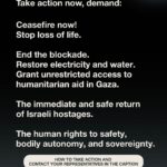 Amy Jackson Instagram - Take action now, via @feminist ❗️ Demand: Ceasefire now! Stop the loss of life. #CeaseFireNOW End the blockade. Grant unrestricted access to humanitarian aid in Gaza. The immediate and safe return of Israeli hostages. The human right to safety, bodily autonomy, and sovereignty. ‼️ How to take action ‼️ 1️⃣ Educate yourself and others; learn from history, read, watch documentaries and have empathetic conversations with your community. 2️⃣ Denounce antisemitism and islamophobia → Learn more @solutionsnotsides 3️⃣ Join a protest, rally, march or vigil near you. 4️⃣ Sign a petition. (Visit the link in @feminist bio) 5️⃣ Contact your representatives US→ Call 202 224 3121 https://www.commoncause.org/find-your-representative UK→ Email your MPmembers.parliament.uk/members/commons Canada→ https://oncanadaproject.ca/findyourrep 6️⃣ Check in on your friends who may be affected ✍️  Use this template for contacting your representative: 🗣 My name is [Your Name]. I am a constituent of {Representative's Name}. I am calling to ask that the Representative add their name to the Ceasefire Now resolution led by Representatives Cori Bush and Rashida Tlaib, regarding the unfolding crisis in Gaza. It is urgent that the Representative demand [Insert your demands.] I call on you to protect and defend the human right to safety, bodily autonomy, and sovereignty. 🖊 @feminist note: We exist to amplify the voices of our community and want to amplify resources informed by our community, organized by those directly impacted. If you would like to contribute resources please send them to us using the Google Form linked in our bio. This situation is continuously developing and as we uncover more information, we remain committed to sharing resources to support those directly impacted and resources that center the impacts on women, girls, and gender-expansive people. Our resolve to dismantle all oppressive systems that perpetuate violence remains unwavering as we strive for our collective liberation.