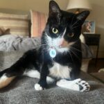 Amy Landecker Instagram - This week in animals