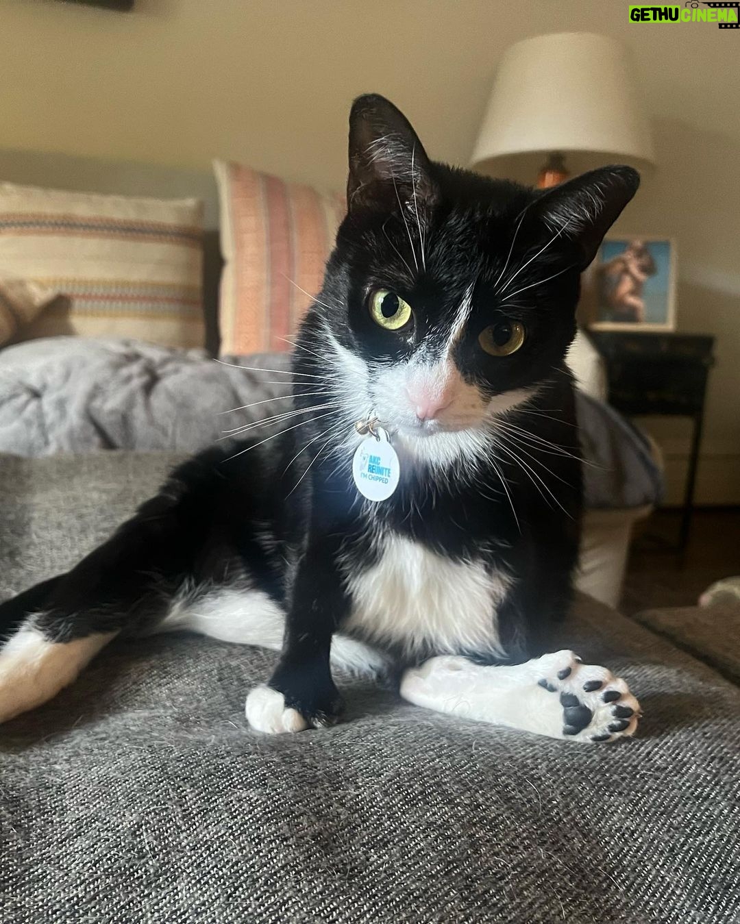 Amy Landecker Instagram - This week in animals
