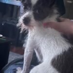Amy Landecker Instagram - This week in animals