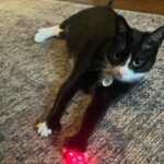 Amy Landecker Instagram - This week in animals