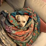 Amy Landecker Instagram - This week in animals
