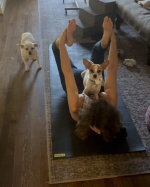 Amy Landecker Instagram - Like goat yoga. But different.