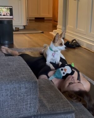 Amy Landecker Instagram - Like goat yoga. But different.