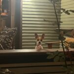 Amy Landecker Instagram - Perspective.