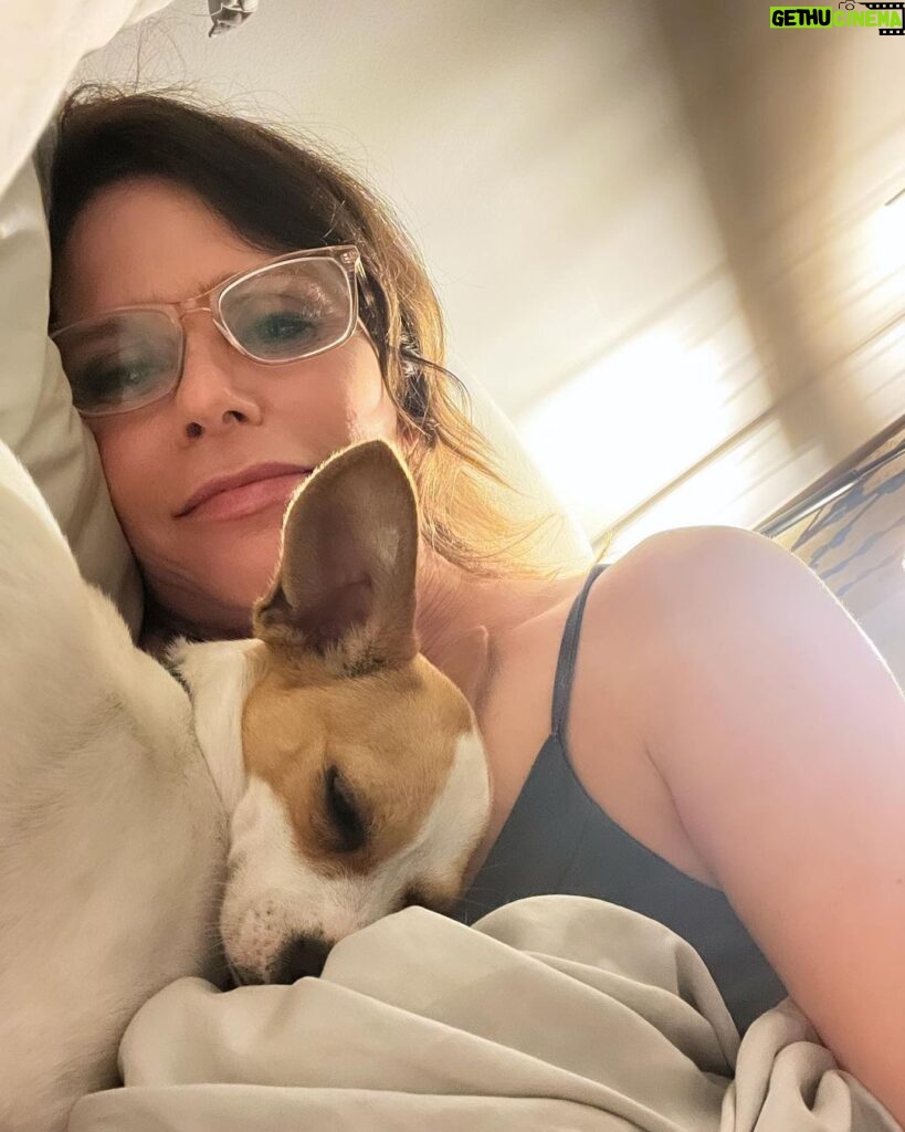 Amy Landecker Instagram - New baby in the house.