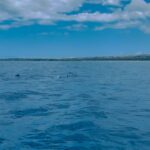Amy Landecker Instagram – Thank you @oceanbluekona for an absolutely incredible adventure. Can’t wait to download the GoPro fishies. My mind is completely blown by how stunning nature is. Thank you for bringing it so close. And for the great tunes!