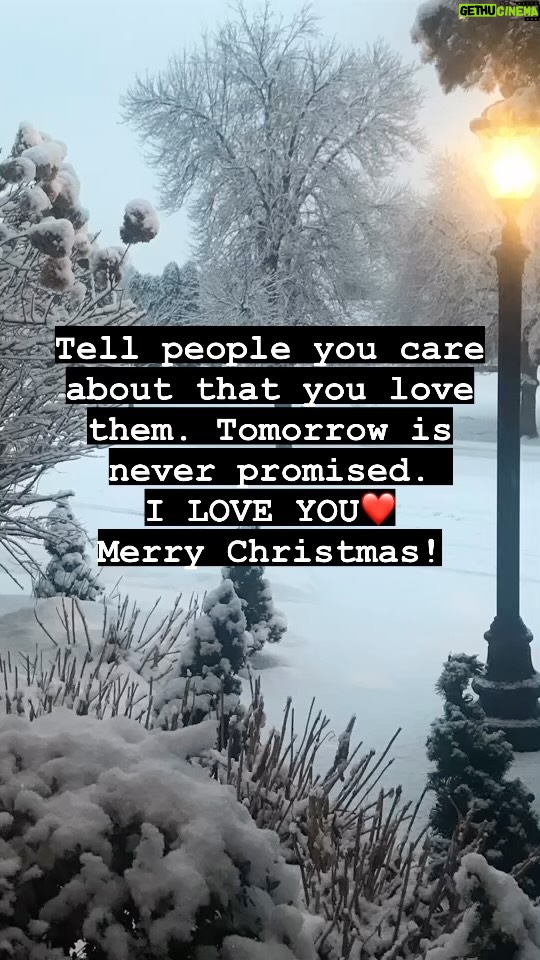 Amy Lyndon - 141 Likes - Drop me a double ❤️ if this resonates. #loveyou #christmaswishes🎄