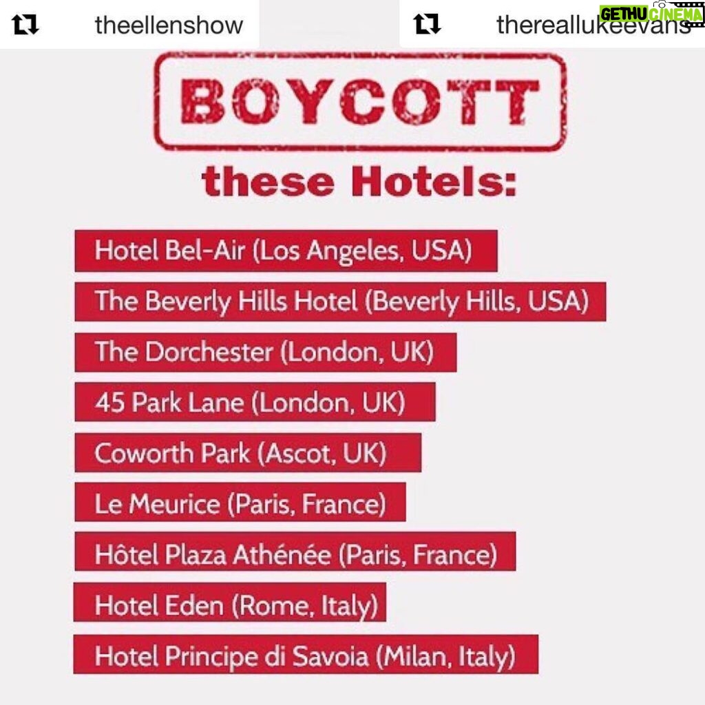 Amy Pemberton Instagram - Spread the word, this can’t be ignored. #Repost @theellenshow with @get_repost ・・・ Tomorrow, the country of Brunei will start stoning gay people to death. We need to do something now. Please boycott these hotels owned by the Sultan of Brunei. Raise your voices now. Spread the word. Rise up.