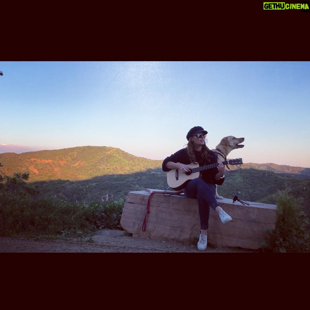 Amy Pemberton Instagram - .....But what song is Louie singing....? 🤣 #answersonapostcard #louie #🤦🏻♀️ #singingdog #orwashemidyawn? #quitepossiblythelatter