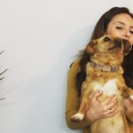 Amy Pemberton Instagram - Luna absolutely loves a self tape... She wholeheartedly nailed this one, so proud! 💪🏻🐶 FYI casting: She’s a two take wonder and wanted me to let you know that she’s really only willing to come in for a chemistry test with Pongo and Perdita. For any further enquiries please do not hesitate to contact me at: mydogsmoretalentedthaniam@truthjoke.com #imhereallweek #luna #selftape #cow #minicow #nailedit #overtired #gnight #🤣#🤦🏻‍♀️#😴 #dogsofinstagram