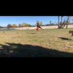 Amy Pemberton Instagram - Steppin’ into 2019 like..... a very nearly accomplished free cartwheel .....always room for improvement 💪🏻😜!!! Happy New Year !! 🎉.... #errrmhowisit2019? #bringit #😘