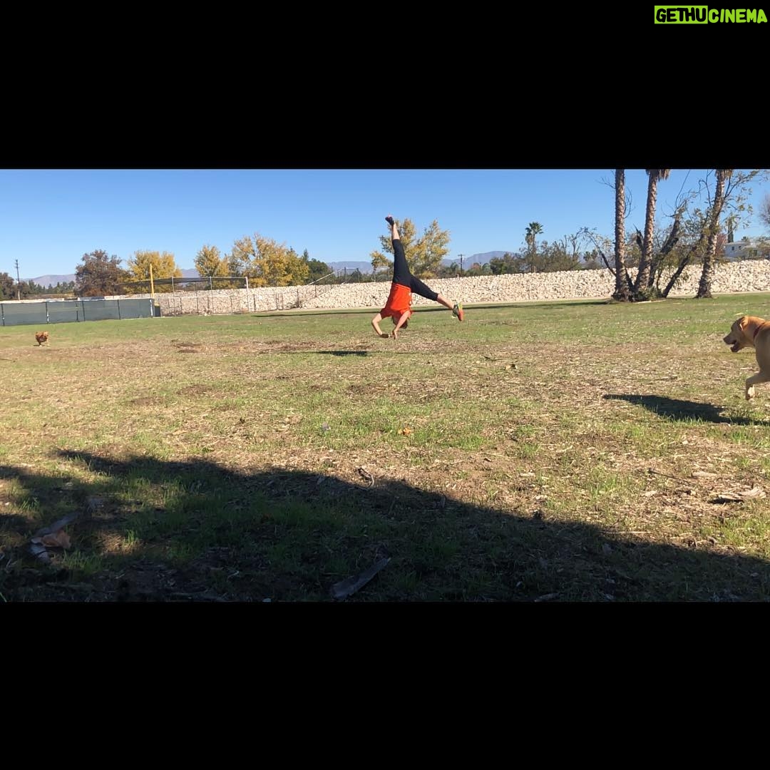 Amy Pemberton Instagram - Steppinβ into 2019 like..... a very nearly accomplished free cartwheel .....always room for improvement πͺπ»π!!! Happy New Year !! π.... #errrmhowisit2019? #bringit #π