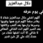 Amy Samir Ghanem Instagram -