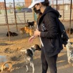 Amy Samir Ghanem Instagram - بحب الكلاب بصراحه زياده عن اللزوم ، و دي حاجه مرهقه للاعصاب .. مش بس كلاب الحيوانات و الطيور و كله ،، عاملين زي الاطفال كده بيكونوا عايزين حنيه و بس ،، الحياه مش اكل او شرب ، الرحمه .. الرحمه دي نعمه من عند ربنا حلوه اوي.. الحمدلله دايما و ابدا🙏 ربنا يحفظ الناس كلها و يشفي كل مريض يارب دي اول دعوه🙏و يحفظ كل الحيوانات الغلبانه دي 💙