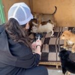 Amy Samir Ghanem Instagram - @animal.protection.eg