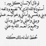 Amy Samir Ghanem Instagram -