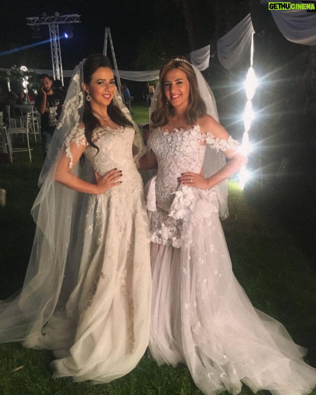 Amy Samir Ghanem - 237.3K Likes - كل سنه و انتي طيبه يا دودي و انشاءالله ربنا يحقق ليكي كل اللي عايزاه. 🎂🎂🤍🤍🤍🤍🤍