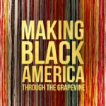 Amy Schumer Instagram - Incredibly joyful series from @henrylouisgates @pbs #MakingBlackAmericaPBS