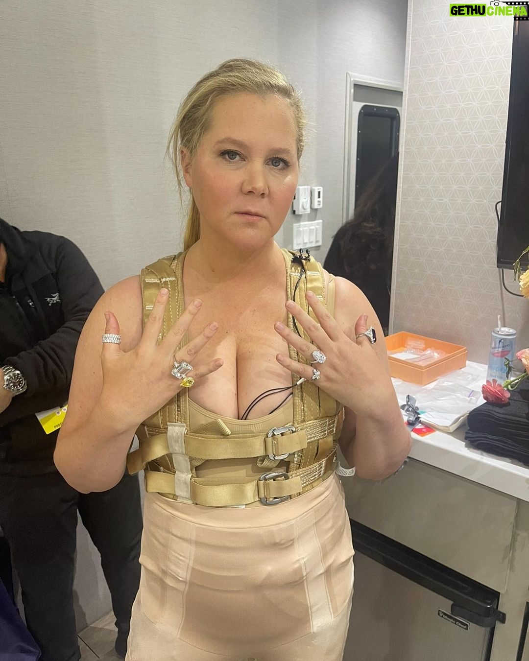 Amy Schumer Instagram - Hopefully no stupid stunts tonight #oscars
