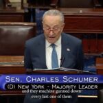 Amy Schumer Instagram - Please listen to every word. No matter what you believe. It is not graphic. This is a speech about the Jewish people from my second cousin once removed. Please take the time I implore you. Please share if it moves you. Stay strong beautiful people whatever faith you were born into. Whatever your sexuality, skin color. Abilities. I love you.