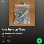 Ana Markl Instagram - Álbum do ano e ainda só vamos em Fevereiro. @blackcountrynewroad #antsfromupthere