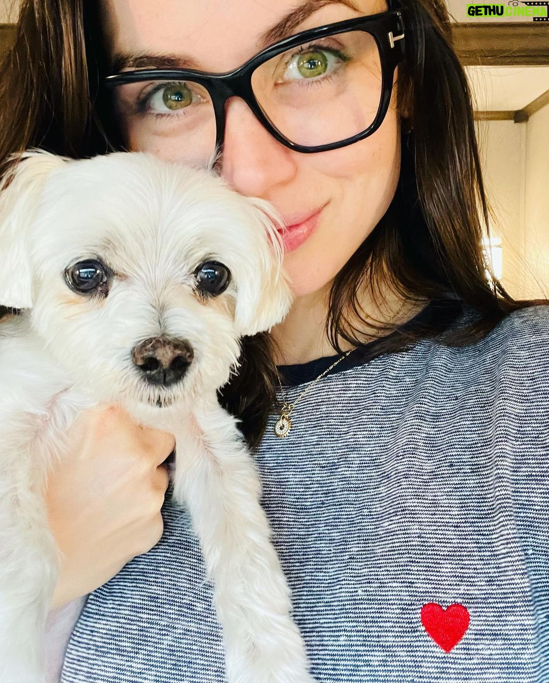 Ana de Armas Instagram - Happy birthday to this handsome boy. My friend and companion for 13 years now. I love you so much buddy! ♥️🎉🎈