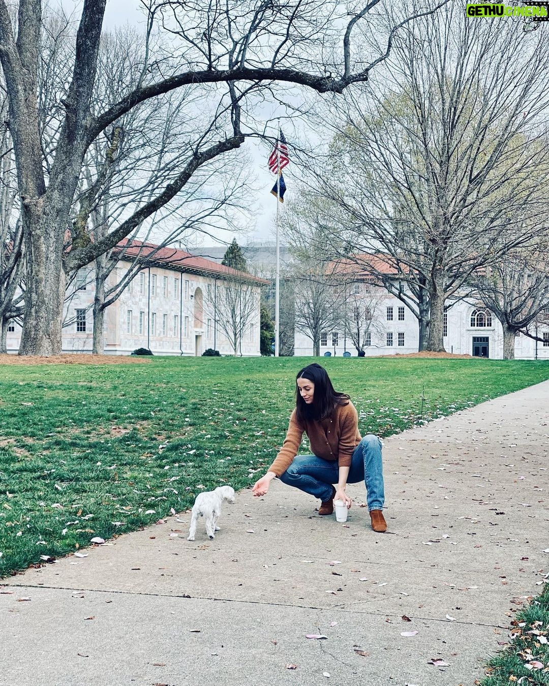 Ana de Armas Instagram - Happy birthday to this handsome boy. My friend and companion for 13 years now. I love you so much buddy! ♥️🎉🎈