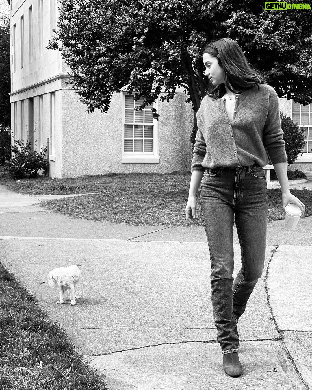 Ana de Armas Instagram - Happy birthday to this handsome boy. My friend and companion for 13 years now. I love you so much buddy! ♥️🎉🎈